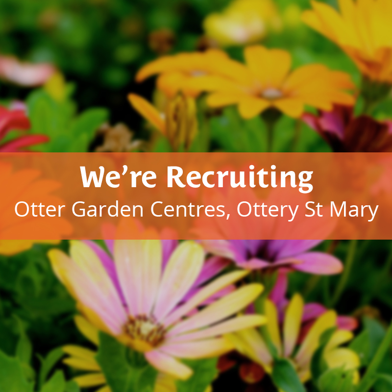 Part-time Cleaner (temp)- Ottery St Mary - Otter Garden Centres