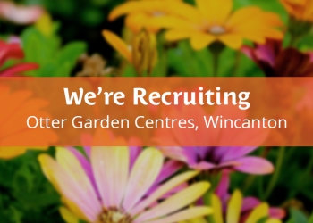 Jobs in Wincanton