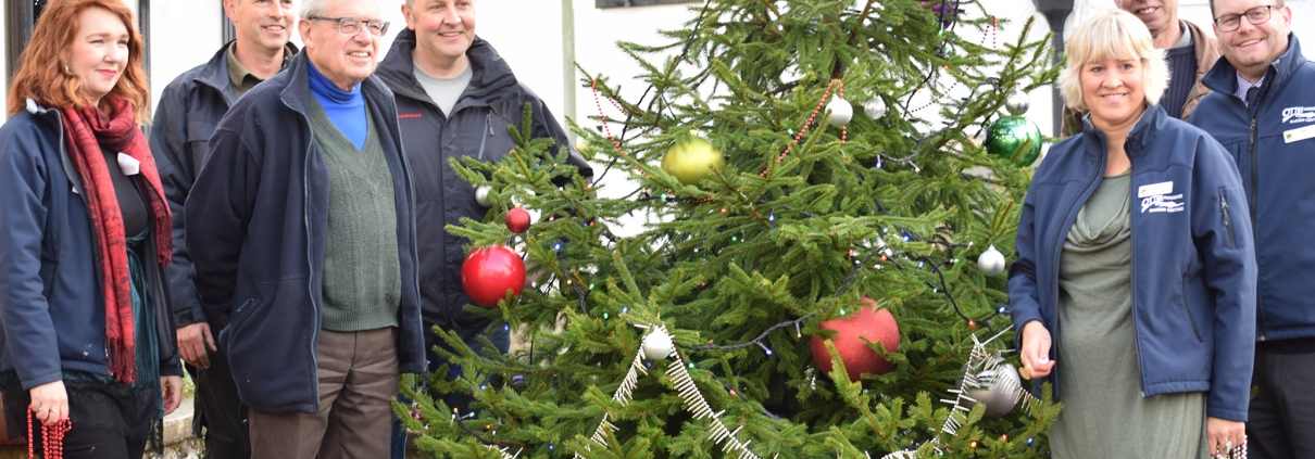 Locally grown tree for Ottery St Mary town centre