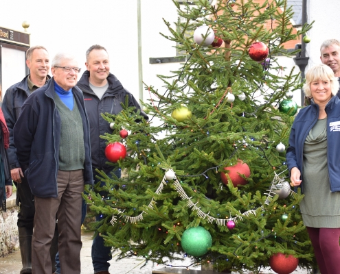 Locally grown tree for Ottery St Mary town centre