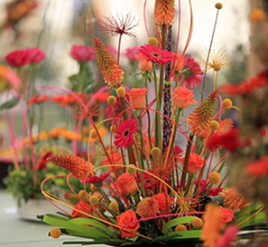 Ottery St Mary - Otter Garden Centres