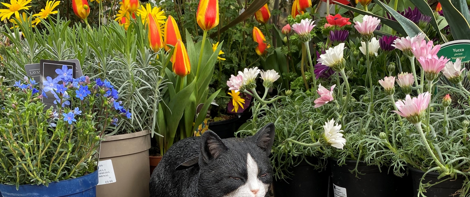 Home Otter Garden Centres