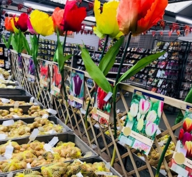 Home - Otter Garden Centres