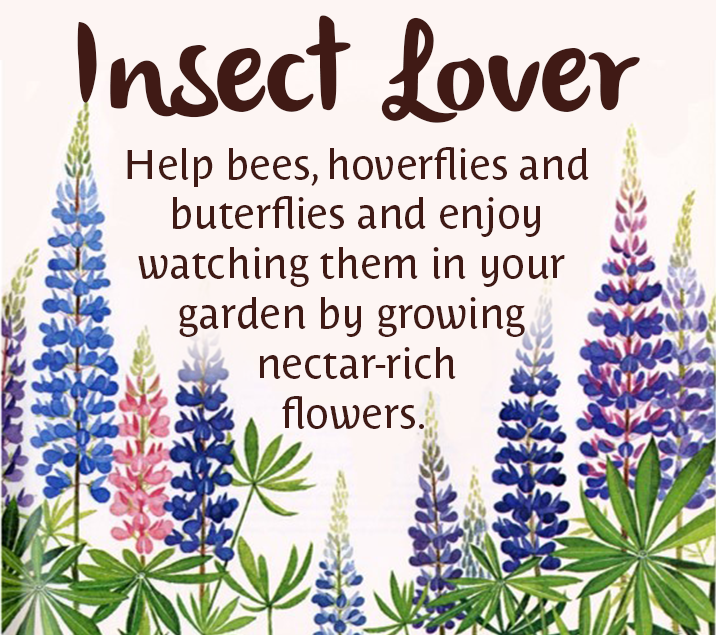 Insect lover