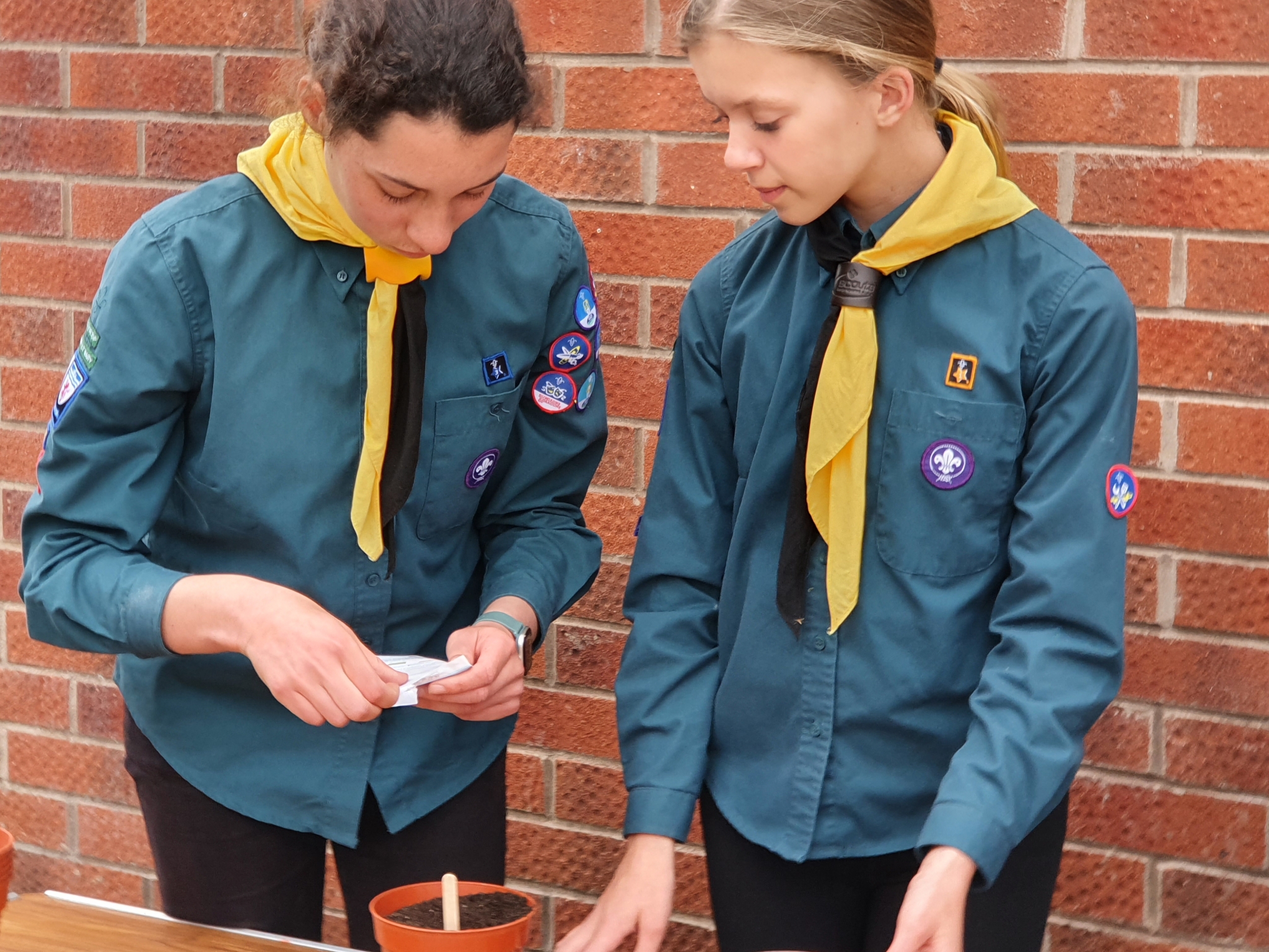 Ottery St Mary Scouts