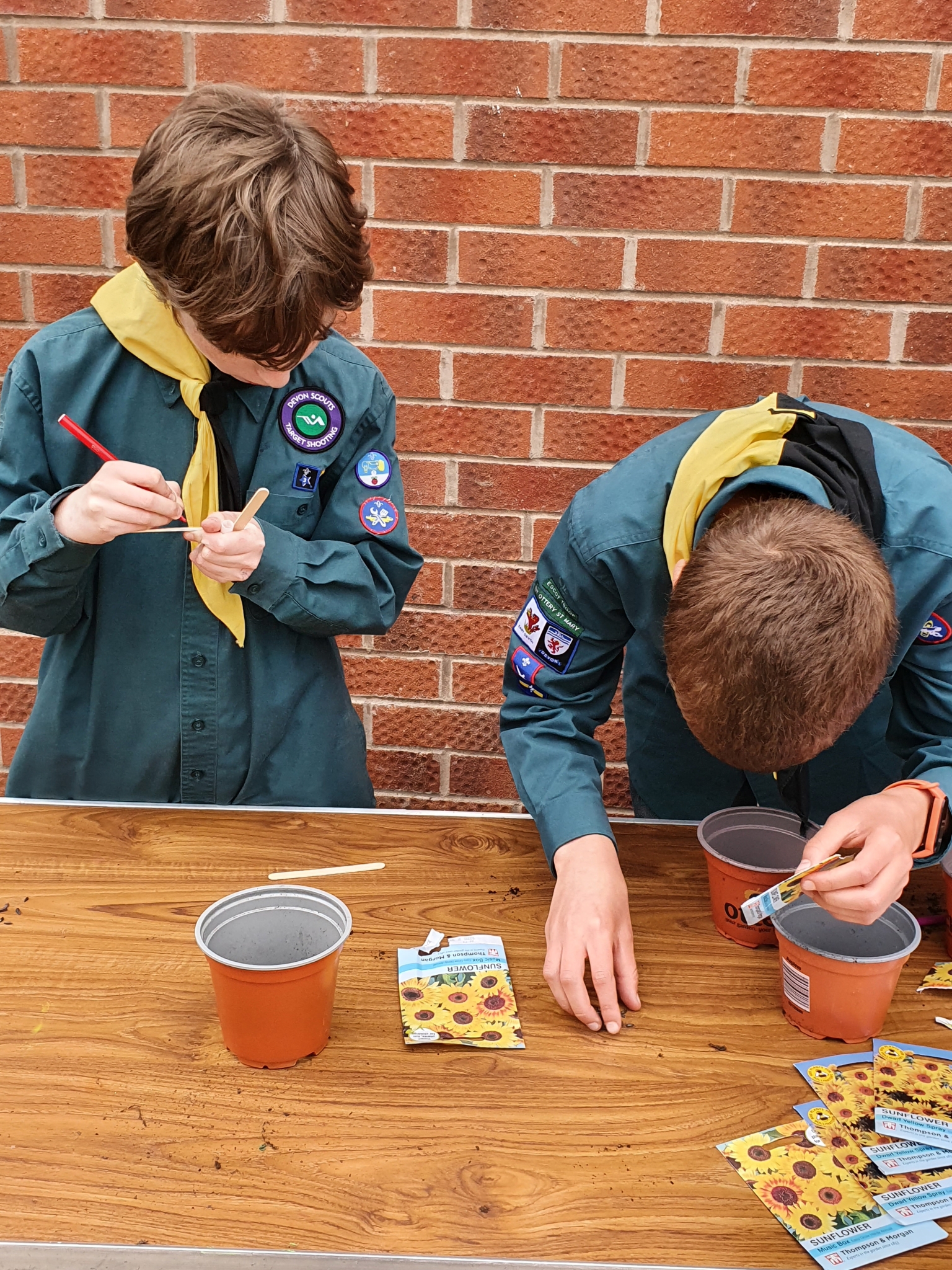 Ottery St Mary Scouts