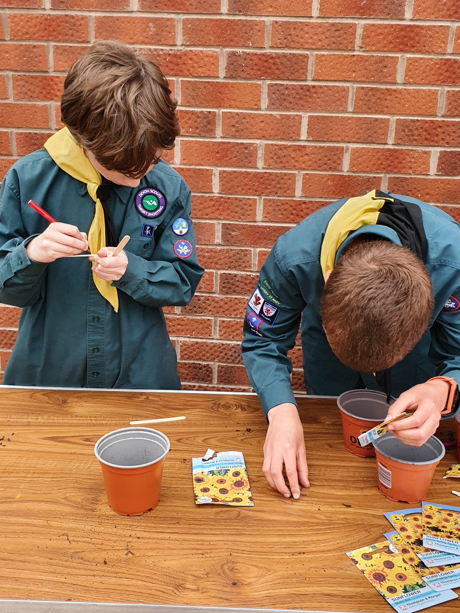 Ottery St Mary Scouts