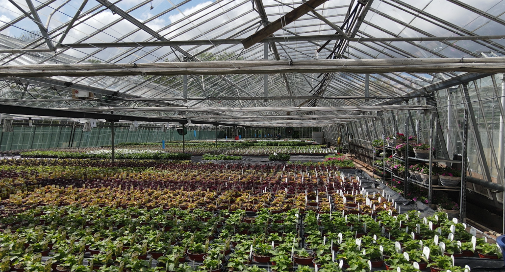 Inside the nurseries at Otter Otter Garden Centres