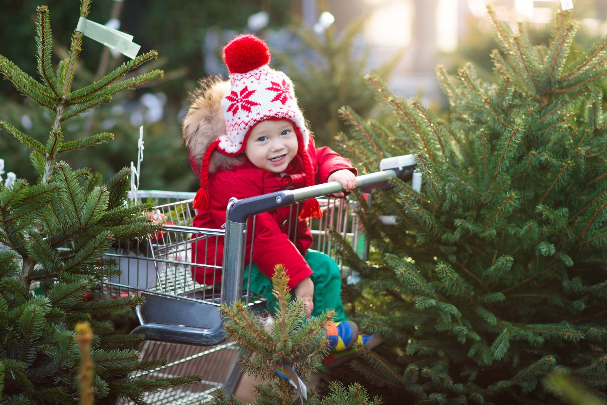 Whitchurch Festive Shopping Event