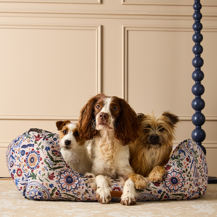 Pets 1