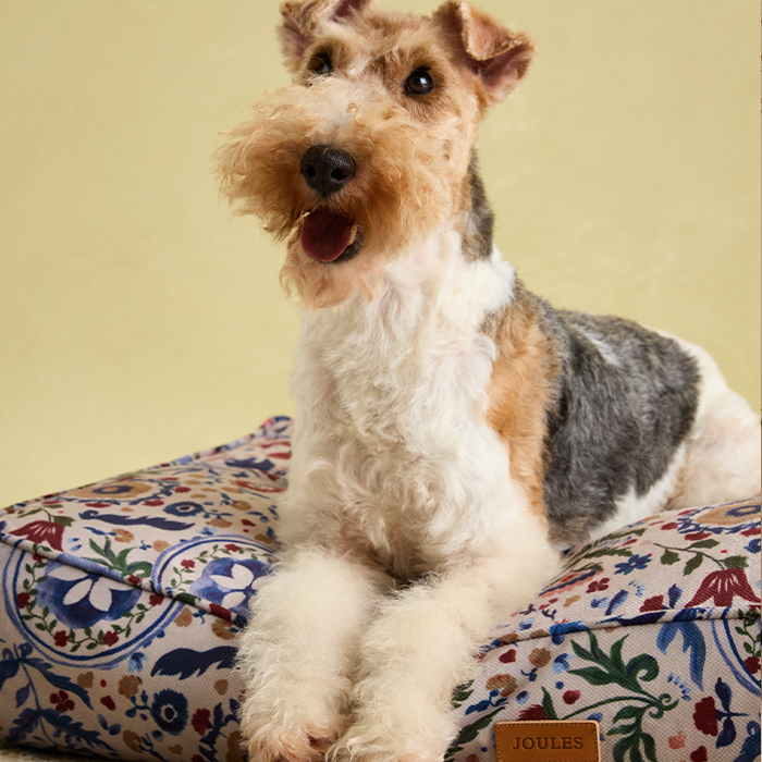 Pets 2