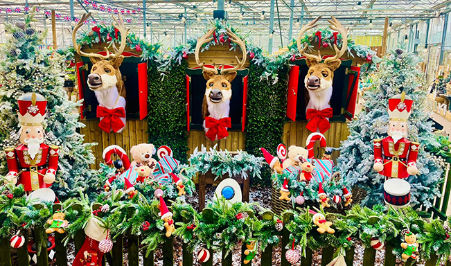 Festive Shopping Event Centre Photos 2