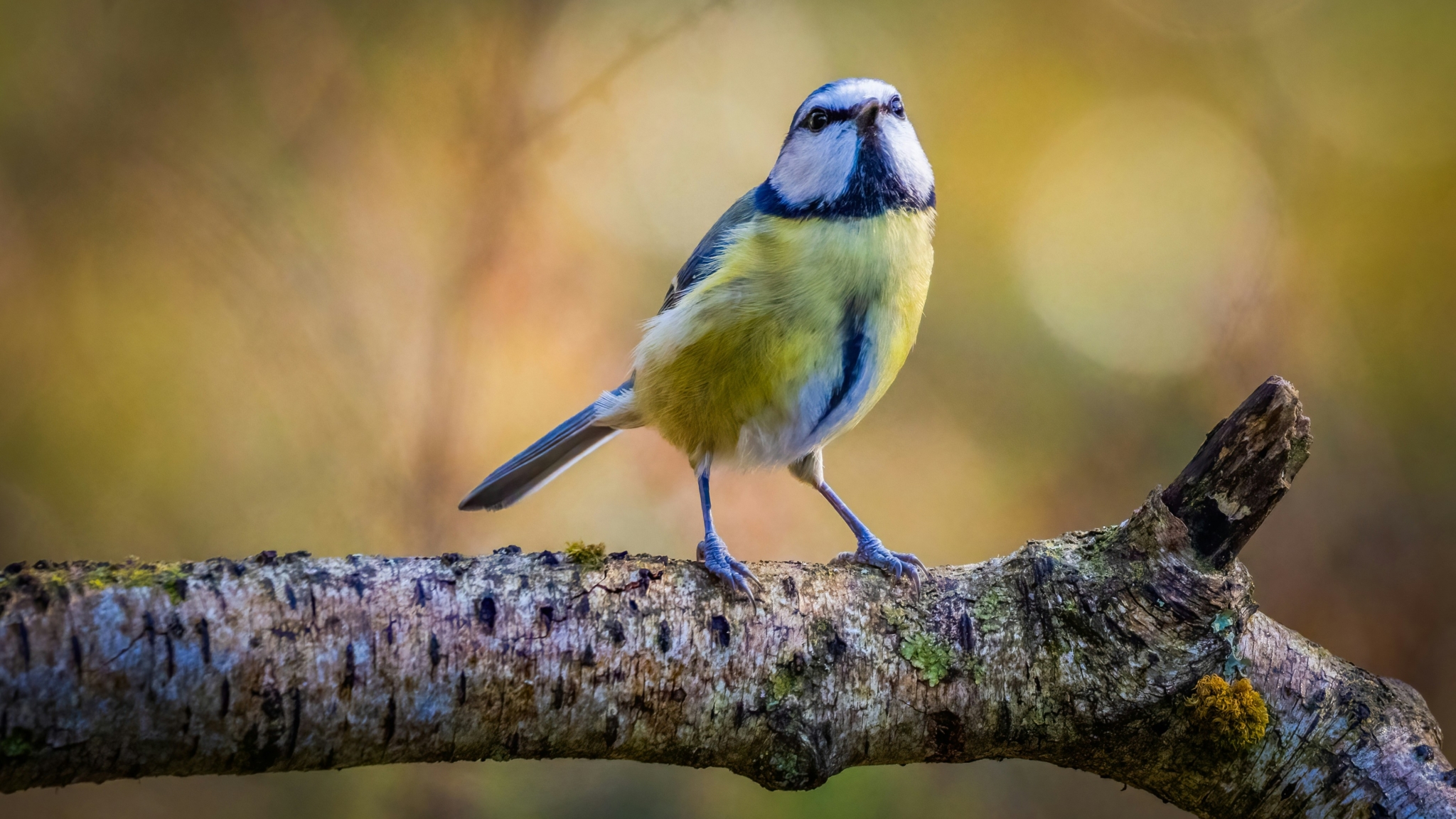 doncoombez-ea2PRpr_Cyc-unsplash